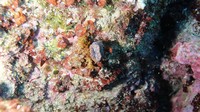 img_0033.jpg